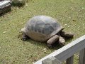 April2008 119
